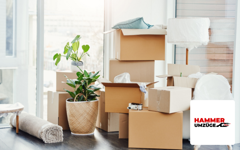 Webdesign in München Referenz Umzugsunternehmen